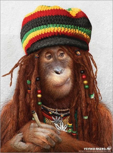 Игорь Седельников