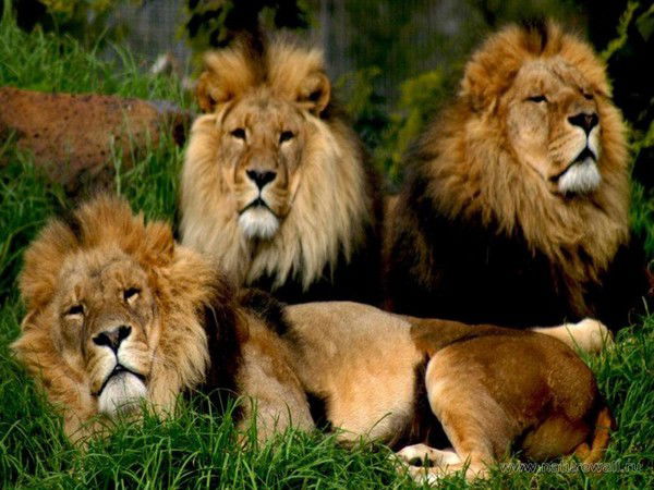 Сабит Муканов