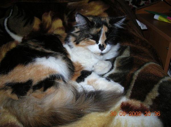 Наталья Ахметханова