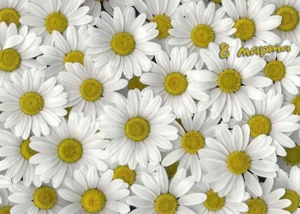 Асема Абилова-Кноль