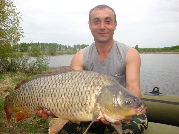 Сергей Шилин