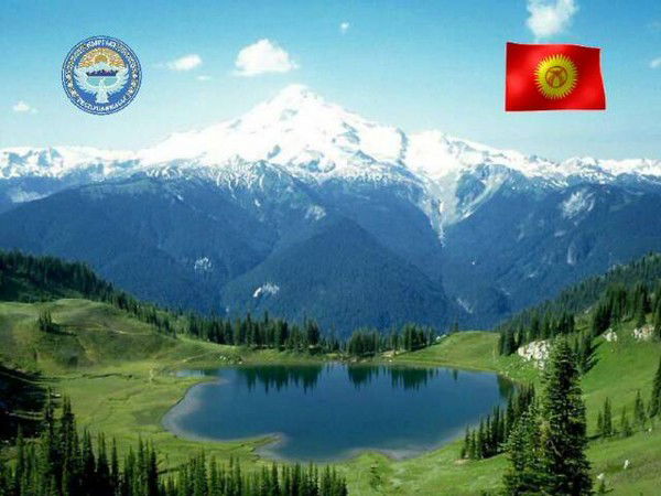 Мурок Артур Кызы