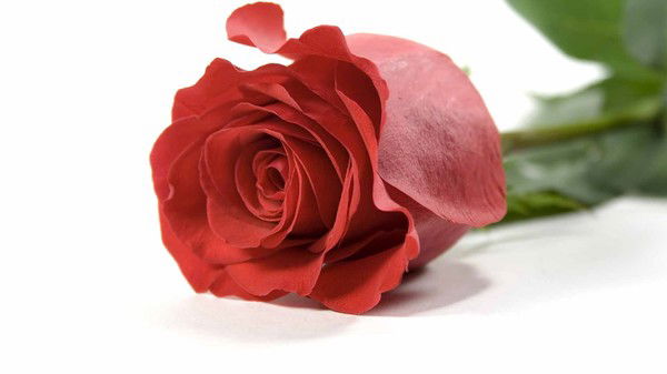 Ардак Куттыгожина