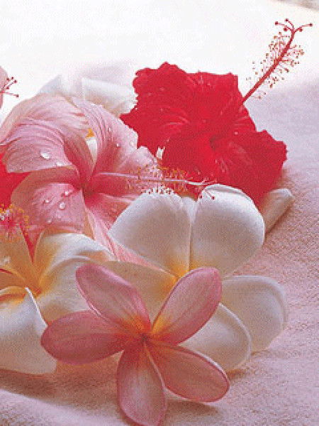 Алия Есеналиева (Калауп)