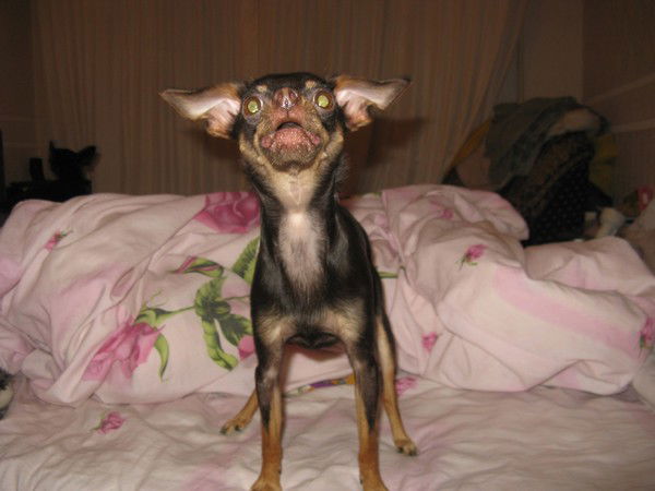 Игорь Саприн