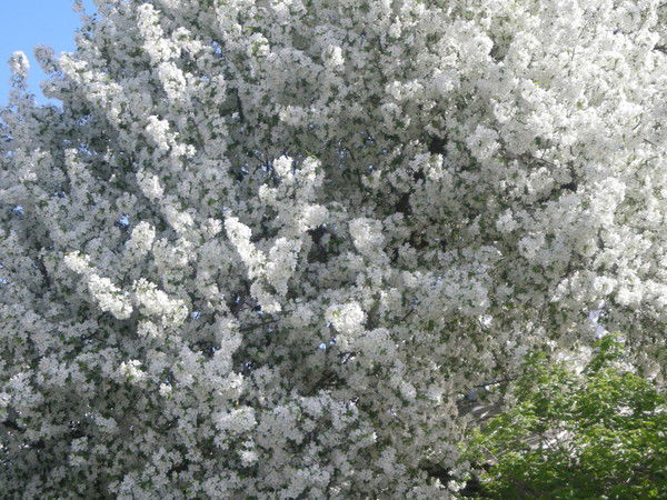 Ксения Митина