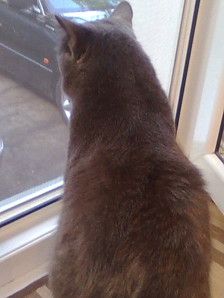 Марина Малешина