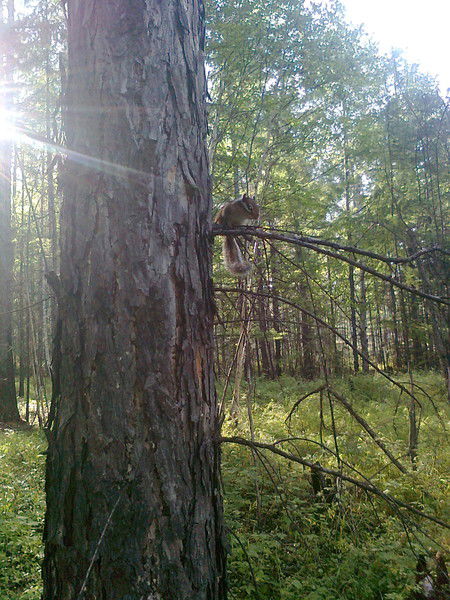 Александр Жижов