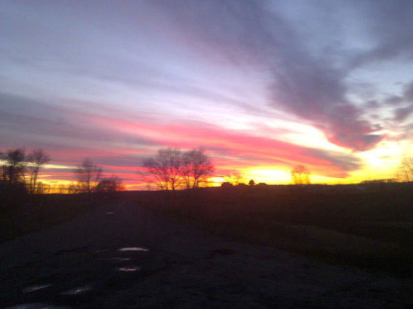 Юлианна Цой