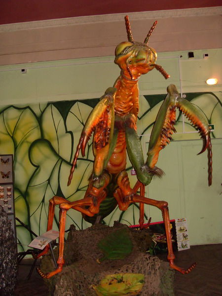 Пётр Бушмин