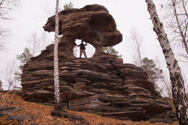 Дмитрий Торопов