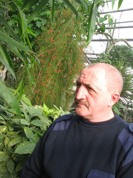 Александр Захаров