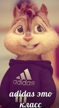 Данил Таланов