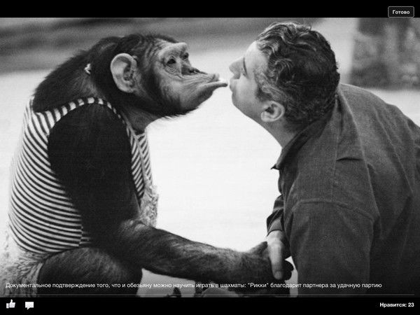 Иван Василенко