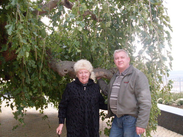 Владимир Николаевич