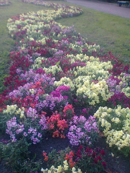 Ольга Большакова