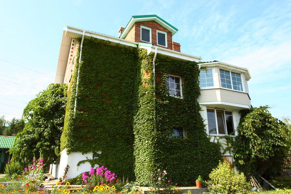 Эдуард Горшков