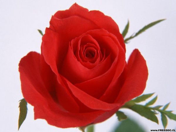 Арай Саумалбаева