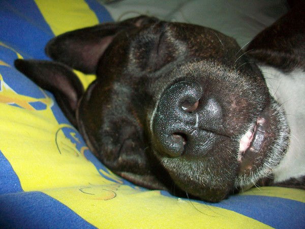 Владимир Козлов