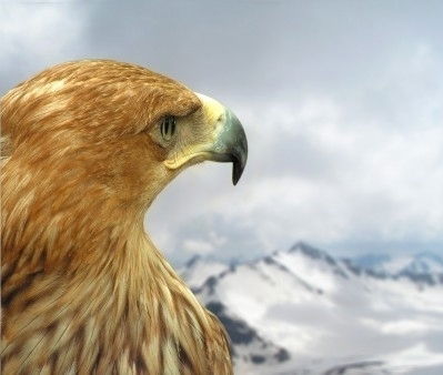 Арсен Азизов