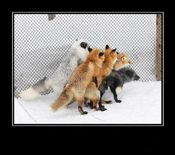 Женя Нарута