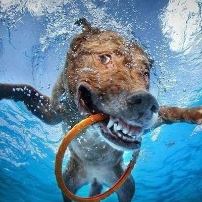 Лиза Ковальчук-Куц