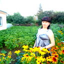 Алла Зеленская