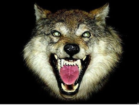 Александр Ахалая