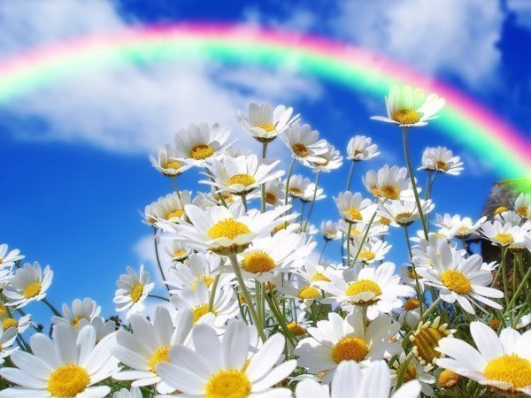 Александра Данилова