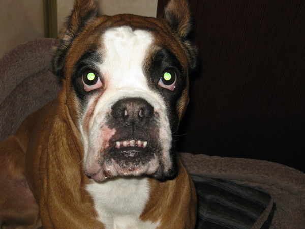 Кирилл Горский