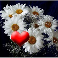 Александра Тупаева