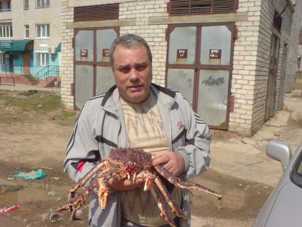 Алексей Негребов