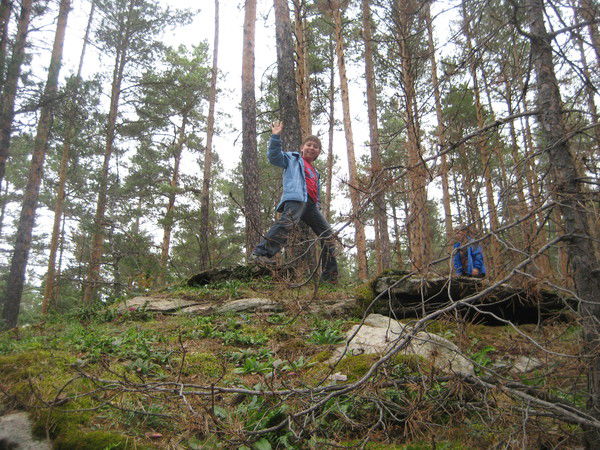 Алексей Цветов