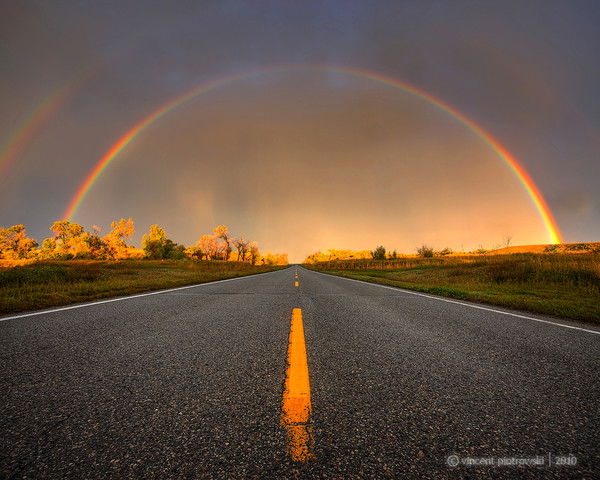 Светлана Медвецкая