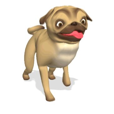 Наталья Черкашина