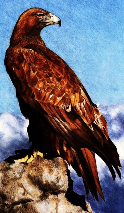 Сергей Квасов