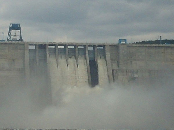 Дмитрий Намойлик