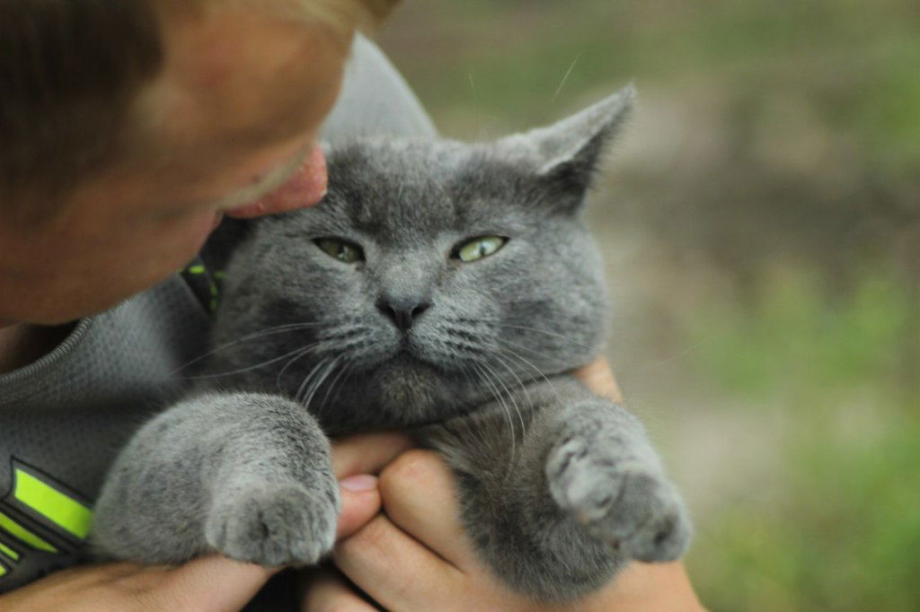 Дмитрий Мамонтов