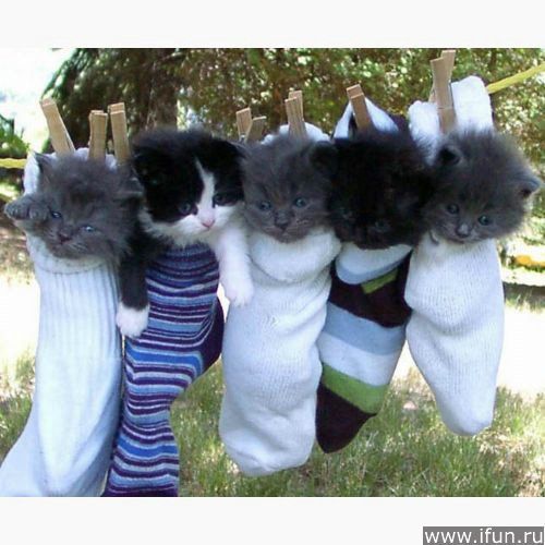 Николай Корсаков