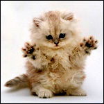 Галина Баннова