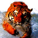 Дмитрий Филин