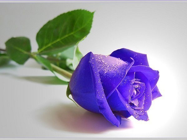 Эля Джумабаева