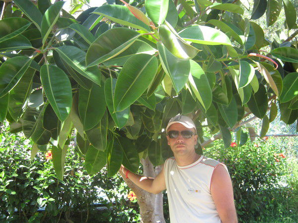 Николай Сенов