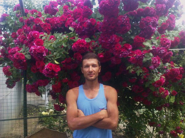 Руслан Шевцов