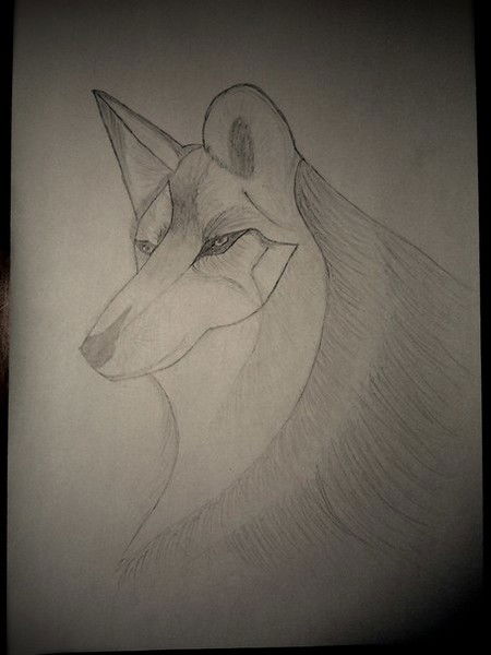 Ирина Латышева