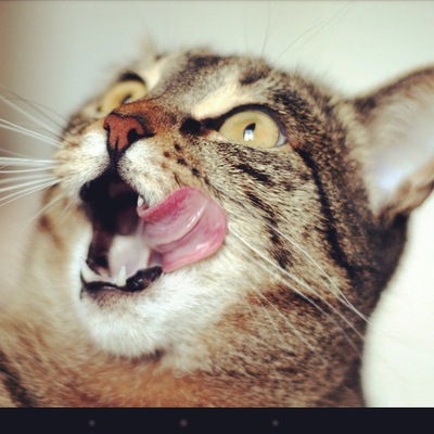 Серафим Мещеряков