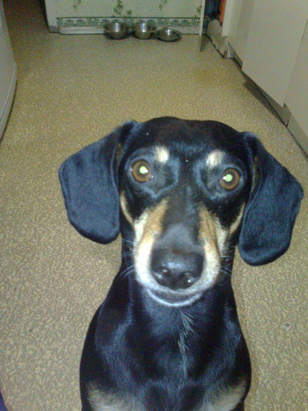 Владимир Высоков