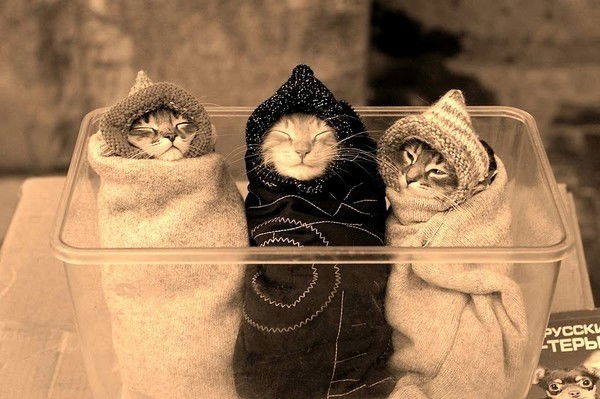 Наталья Баженова