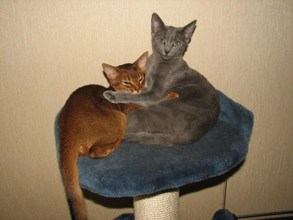 Татьяна Бирюкова