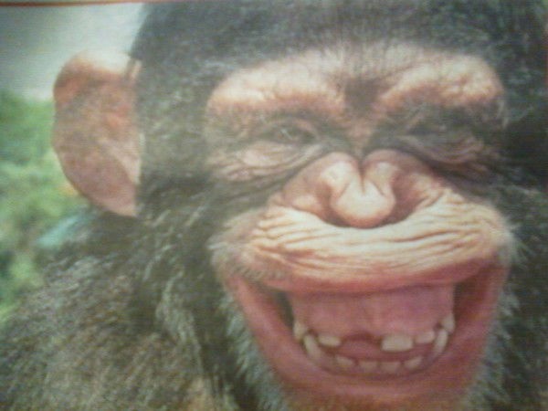 Стас Фролов